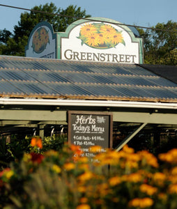 Small Business Profile: Green Street Gardens