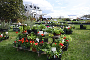 Tickets now available for the Spring Garden Market at River Farm